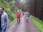Auf Forstwegen ging es den Allerswald hinauf