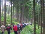 Wanderung durch den Forst oberhalb von Antonsthal