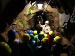 Gr&uuml;ne Pflanzen in der Dunkelheit der H&ouml;hle