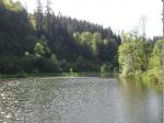 Idyllisch gelegener Flo&szlig;teich bei der Bischofsm&uuml;hle