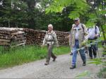 Im Wald oberhalb der Buchschneidmühle bei Erlabrück