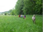 Von Höfles aus ging es über Wiesenpfade in Richtung Kronach