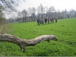 &Uuml;ber die Fluren bei K&uuml;ps