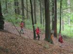 Durch m&auml;chtige Buchen und Fichten ging es talw&auml;rts 