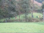Wanderweg bei der Schlackenm&uuml;hle