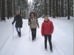 Schneelandschaft am Geuserberg