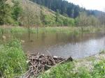 Hinter dem Damm bildet sich schon ein See