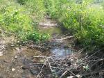 Die Lamitz wird gestaut