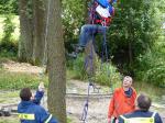 Bis zu fünf Meter wurde hochgeklettert