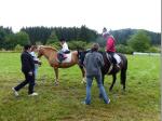 Pferdefreund Leitschtal in Aktion