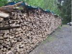 Viel trockenes Buchenholz braucht es für das Anlegen eines Meilers