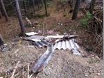Asbesthaltige Dachplatten wurden bei Geuser gefunden