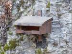 Hier finden die Wasseramseln ihr neues Zuhause.