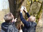 An Laubb&auml;umen und bei Mehrfachmarkierungen werden Kunststofftr&auml;ger eingesetzt